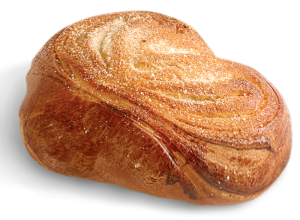 Bun PNG image-13735